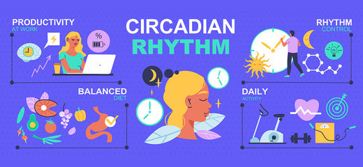 The Image shows a cycle of the work and routine in their daily life | Restful Sleep | Circadian Rhythm